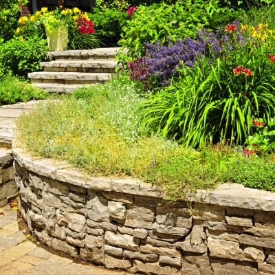 HARDSCAPING